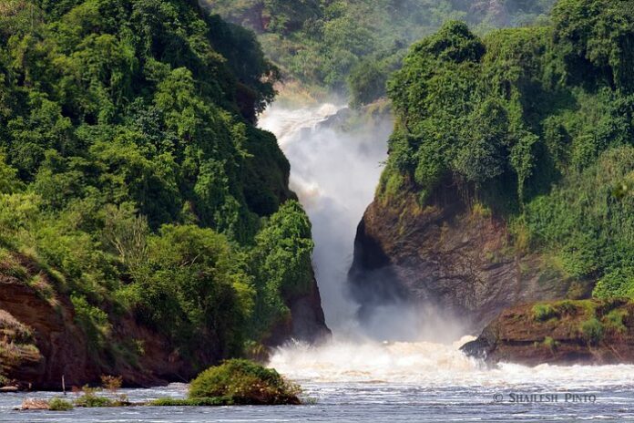 The Murchison Falls of Uganda